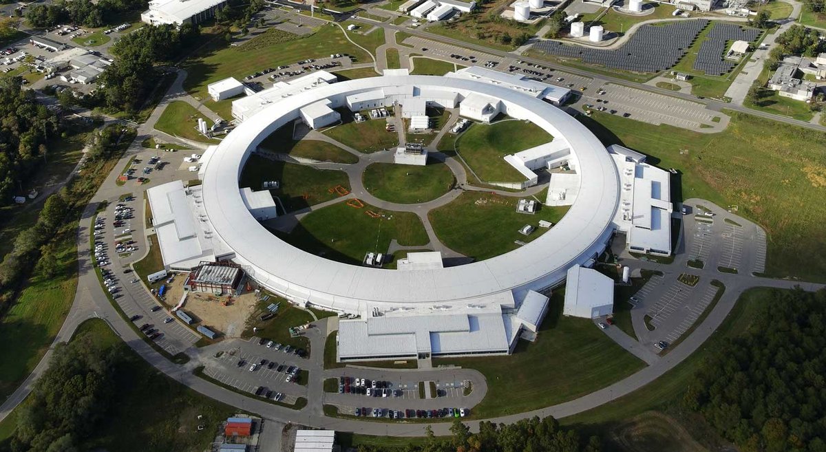 What Is NSLS? Empowering Leaders for a Better World